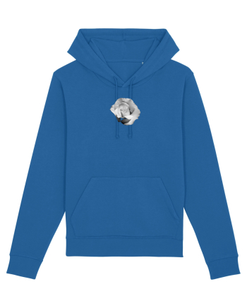 Tandafir alb  Royal Blue