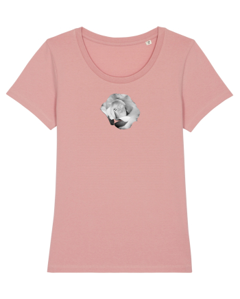 Tandafir alb  Canyon Pink