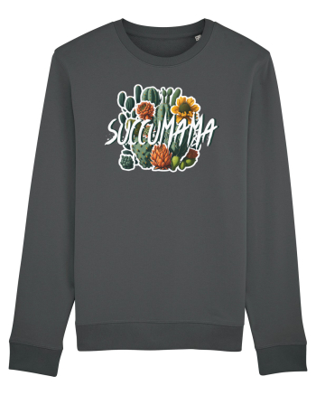 Succumama Anthracite