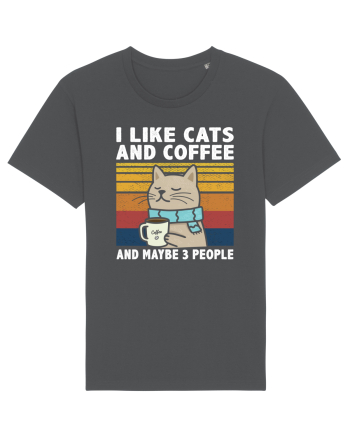 I Like Cats And Coffee And Maybe 3 People Anthracite
