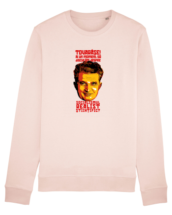 Tovarase, ai un moment? Candy Pink