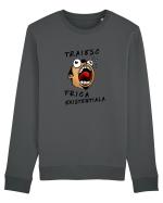 Traiesc frica existentiala Bluză mânecă lungă Unisex Rise