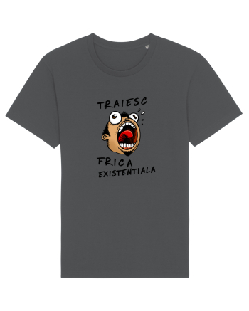 Traiesc frica existentiala Anthracite