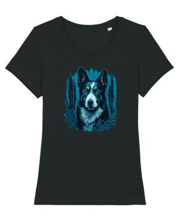 Border collie Black