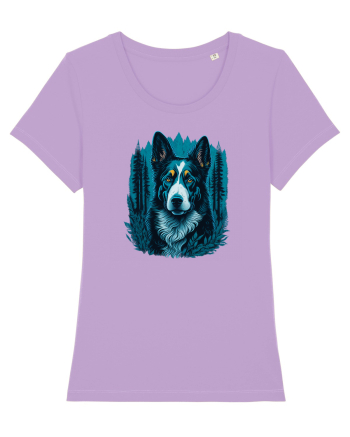 Border collie Lavender Dawn
