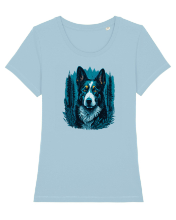 Border collie Sky Blue