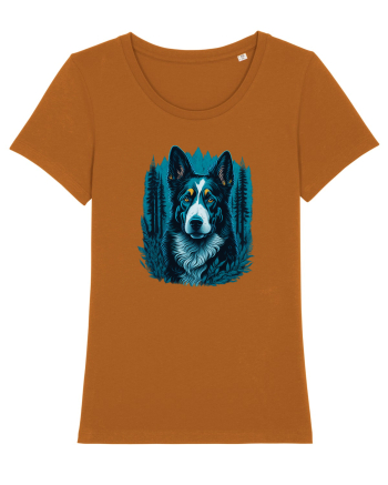 Border collie Roasted Orange