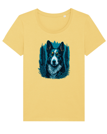 Border collie Jojoba