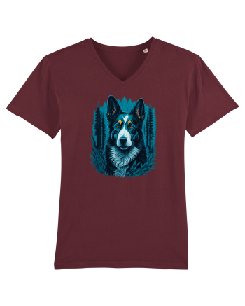 Border collie Burgundy