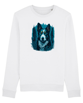 Border collie White