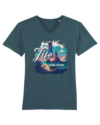 Life is but a dream Stargazer