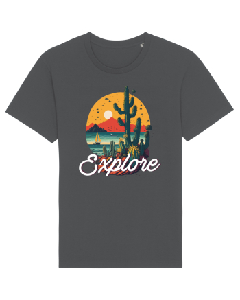 Explore - plaja cu cactusi si apus de soare Anthracite