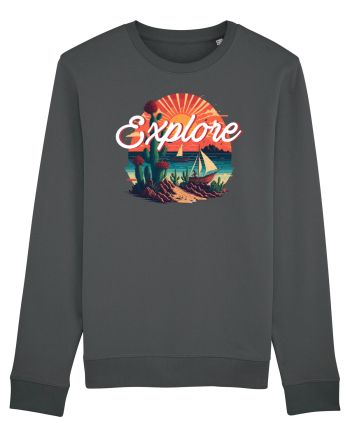 Explore - plaja cu cactusi si apus de soare Anthracite