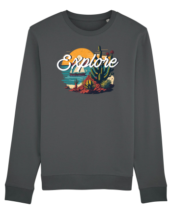Explore - plaja cu cactusi si apus de soare Anthracite