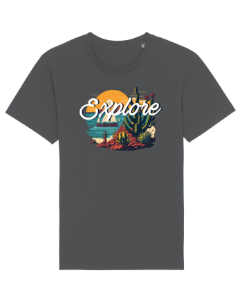 Explore - plaja cu cactusi si apus de soare Anthracite