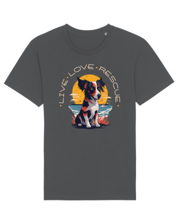 Live Love Rescue 2 Anthracite