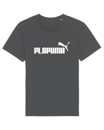 PLAPUMA Anthracite