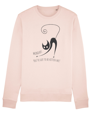 are you kitten me? Candy Pink