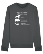 Unicorn types Bluză mânecă lungă Unisex Rise