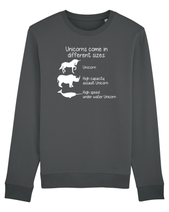 Unicorn types Anthracite