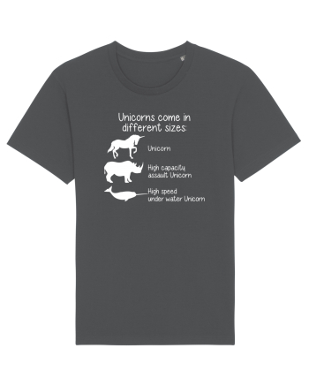 Unicorn types Anthracite