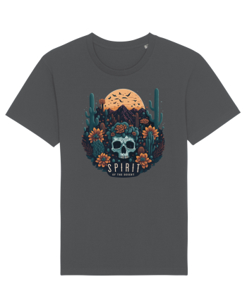 SPIRIT of the desert #1 Anthracite