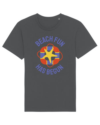 Beach Fun Has Begun Anthracite