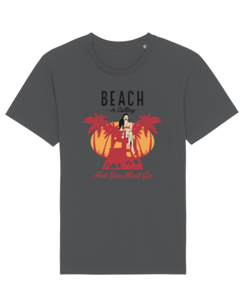 Beach is Calling and You Must Go Anthracite