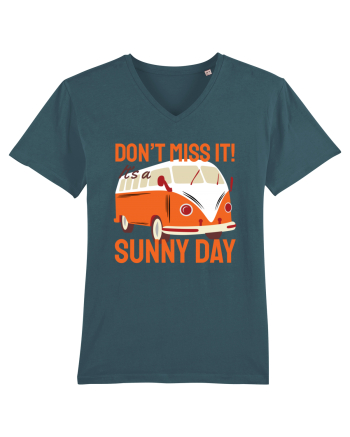 Don't Miss It! It's a Sunny Day Stargazer