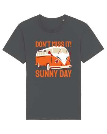 Don't Miss It! It's a Sunny Day Anthracite