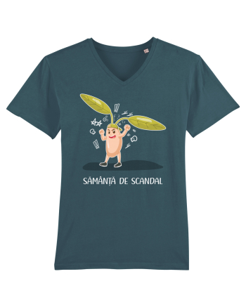Sămânță de scandal Stargazer