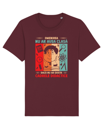 Dacă nu ar exista cadrele didactice - v1 Burgundy