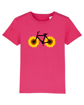 Bicicleta de vara Raspberry