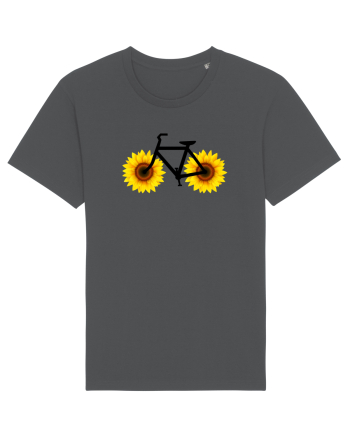 Bicicleta de vara Anthracite