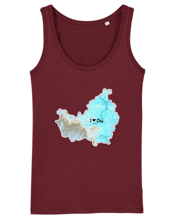 Cluj County Map Burgundy