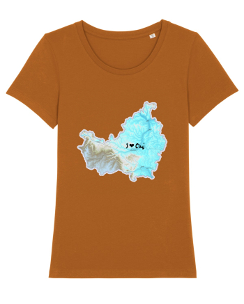 Cluj County Map Roasted Orange