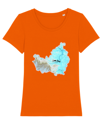 Cluj County Map Bright Orange