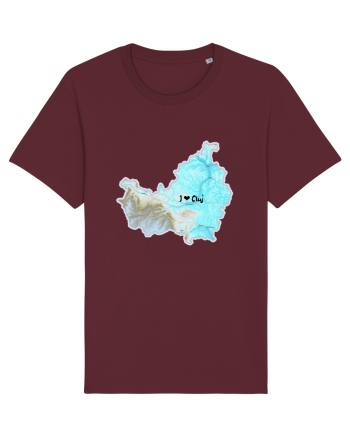Cluj County Map Burgundy