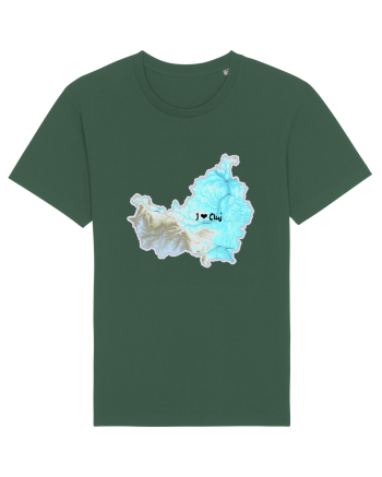 Cluj County Map Bottle Green