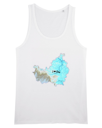 Cluj County Map White