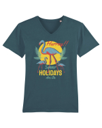 Hurray! Summer Holidays are On Tricou mânecă scurtă guler V Bărbat Presenter