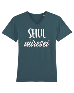 Tricou poze nunta - șeful miresei Tricou mânecă scurtă guler V Bărbat Presenter