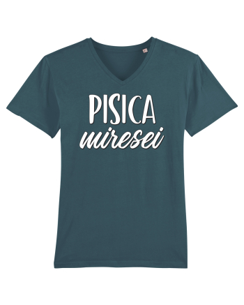 Tricou poze nunta - pisica miresei Stargazer