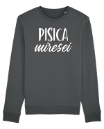 Tricou poze nunta - pisica miresei Bluză mânecă lungă Unisex Rise