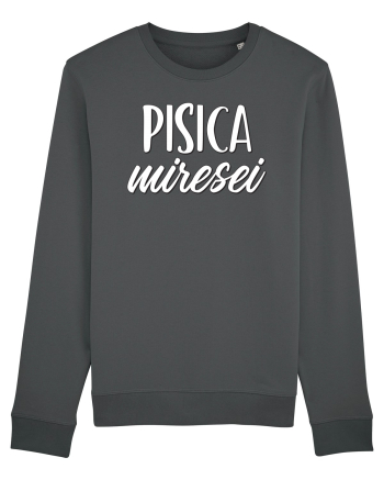 Tricou poze nunta - pisica miresei Anthracite