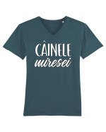 Tricou poze nunta - cainele miresei Tricou mânecă scurtă guler V Bărbat Presenter