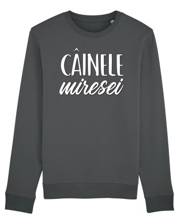 Tricou poze nunta - cainele miresei Anthracite