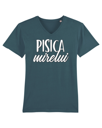 Tricou poze nunta - pisica mirelui Stargazer