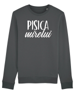 Tricou poze nunta - pisica mirelui Bluză mânecă lungă Unisex Rise