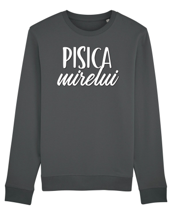 Tricou poze nunta - pisica mirelui Anthracite